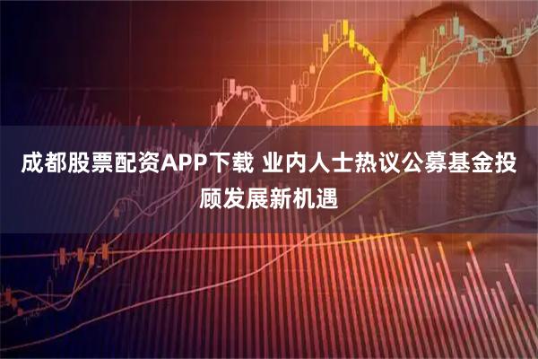 成都股票配资APP下载 业内人士热议公募基金投顾发展新机遇